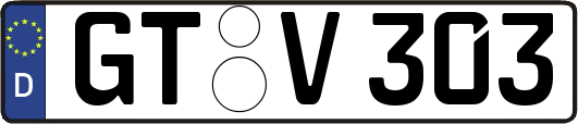 GT-V303