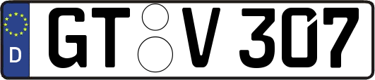 GT-V307