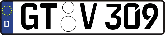 GT-V309