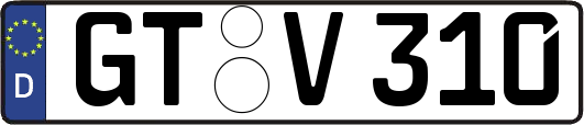 GT-V310