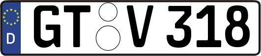 GT-V318