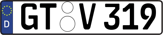 GT-V319