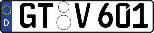 GT-V601