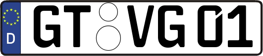 GT-VG01