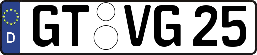 GT-VG25