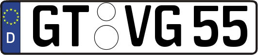 GT-VG55