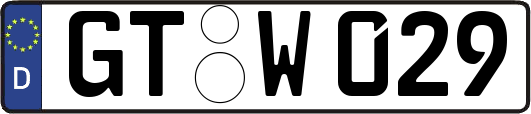 GT-W029