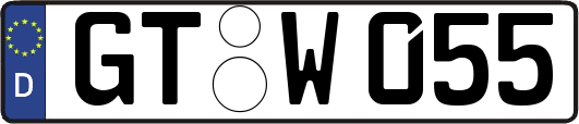 GT-W055