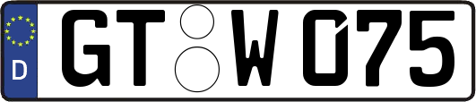 GT-W075