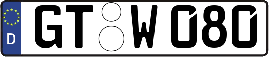 GT-W080