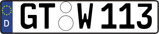 GT-W113