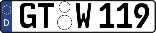 GT-W119