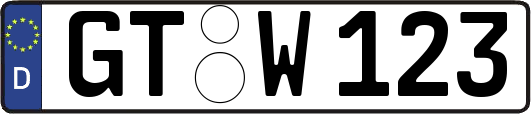 GT-W123