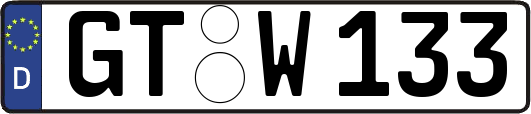 GT-W133