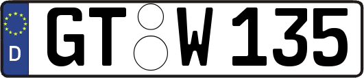 GT-W135