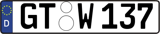 GT-W137