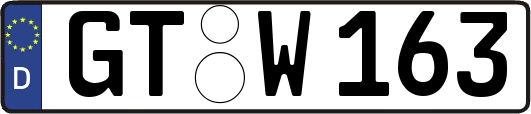 GT-W163