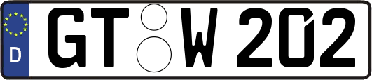 GT-W202