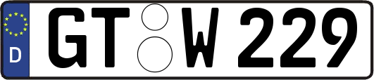 GT-W229