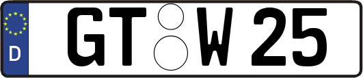 GT-W25