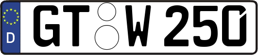 GT-W250