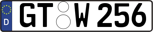 GT-W256
