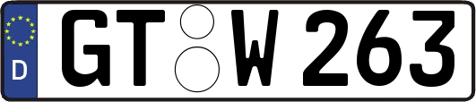 GT-W263