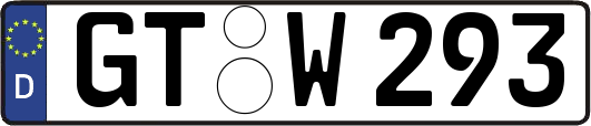 GT-W293