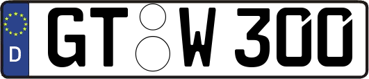 GT-W300