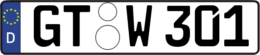 GT-W301