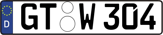 GT-W304