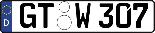 GT-W307