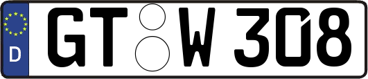 GT-W308