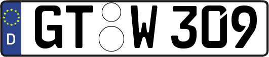 GT-W309