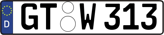 GT-W313