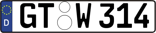 GT-W314