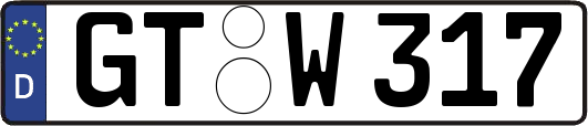 GT-W317