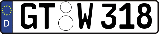 GT-W318
