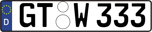 GT-W333