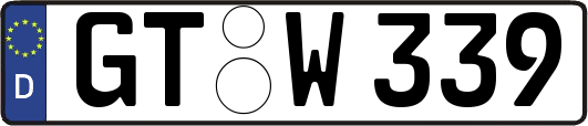 GT-W339