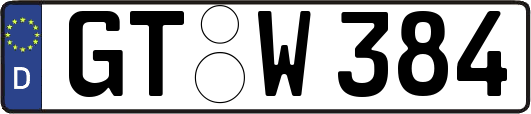 GT-W384