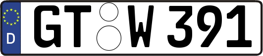 GT-W391