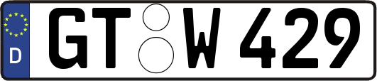 GT-W429