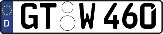 GT-W460