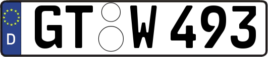 GT-W493