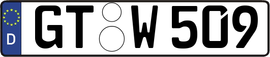 GT-W509