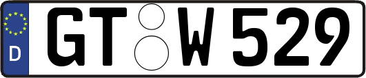 GT-W529