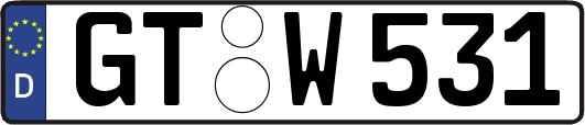 GT-W531