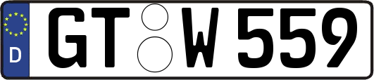 GT-W559