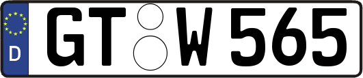 GT-W565